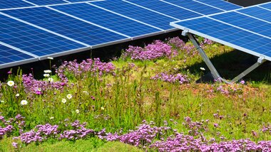 EnergieGrünDach Contec.greenlight | © Contec AG