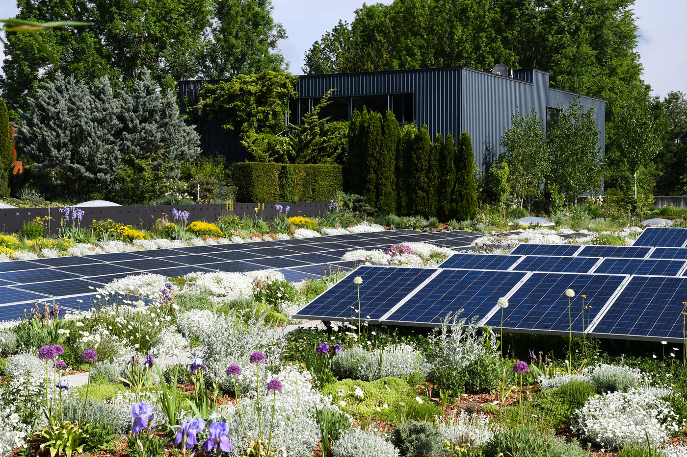 EnergieGrünDach Contec.greenlight | © Contec AG EnergieGrünDach Contec.greenlight | © Contec AG