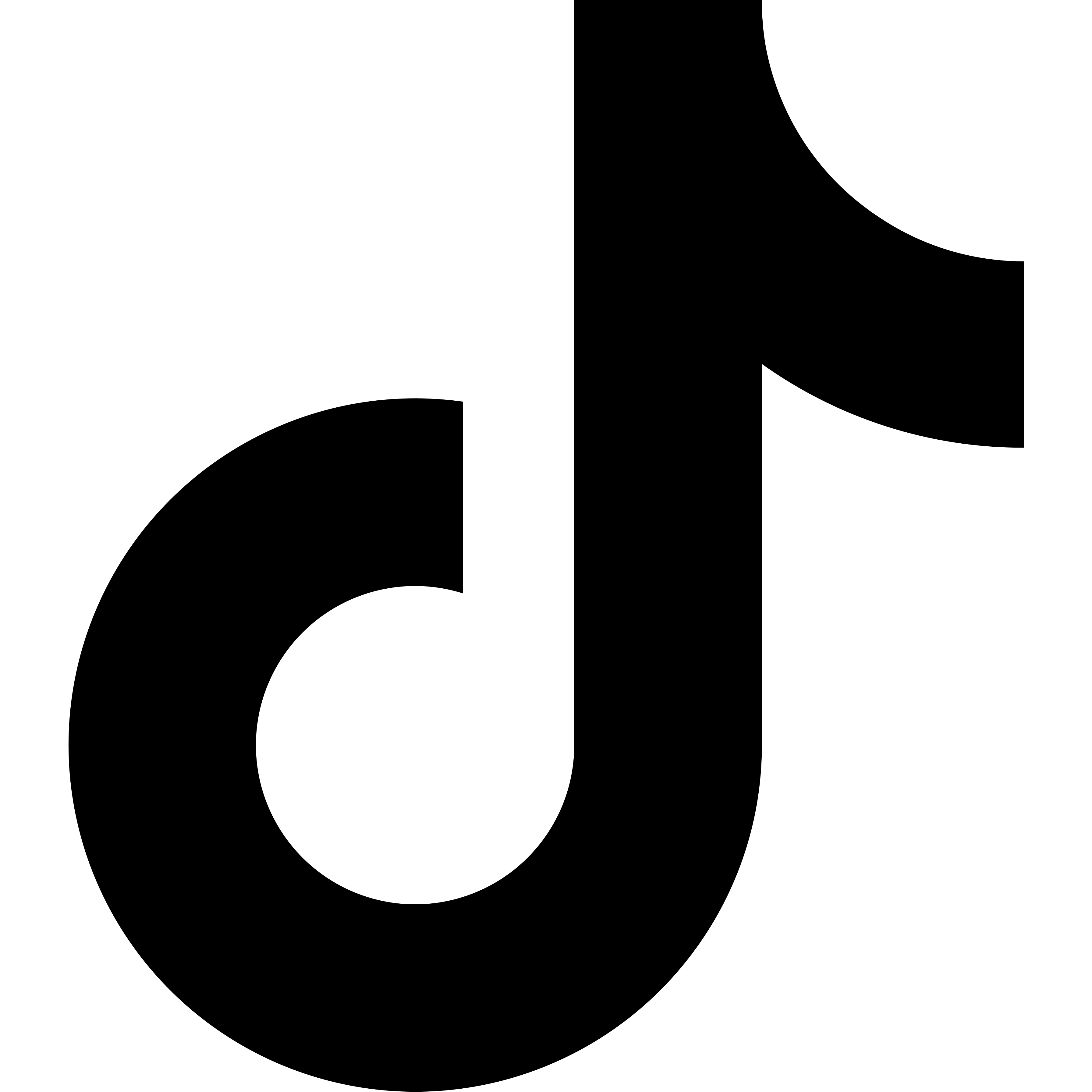 TikTok Social Media Icon | © Iconfinder