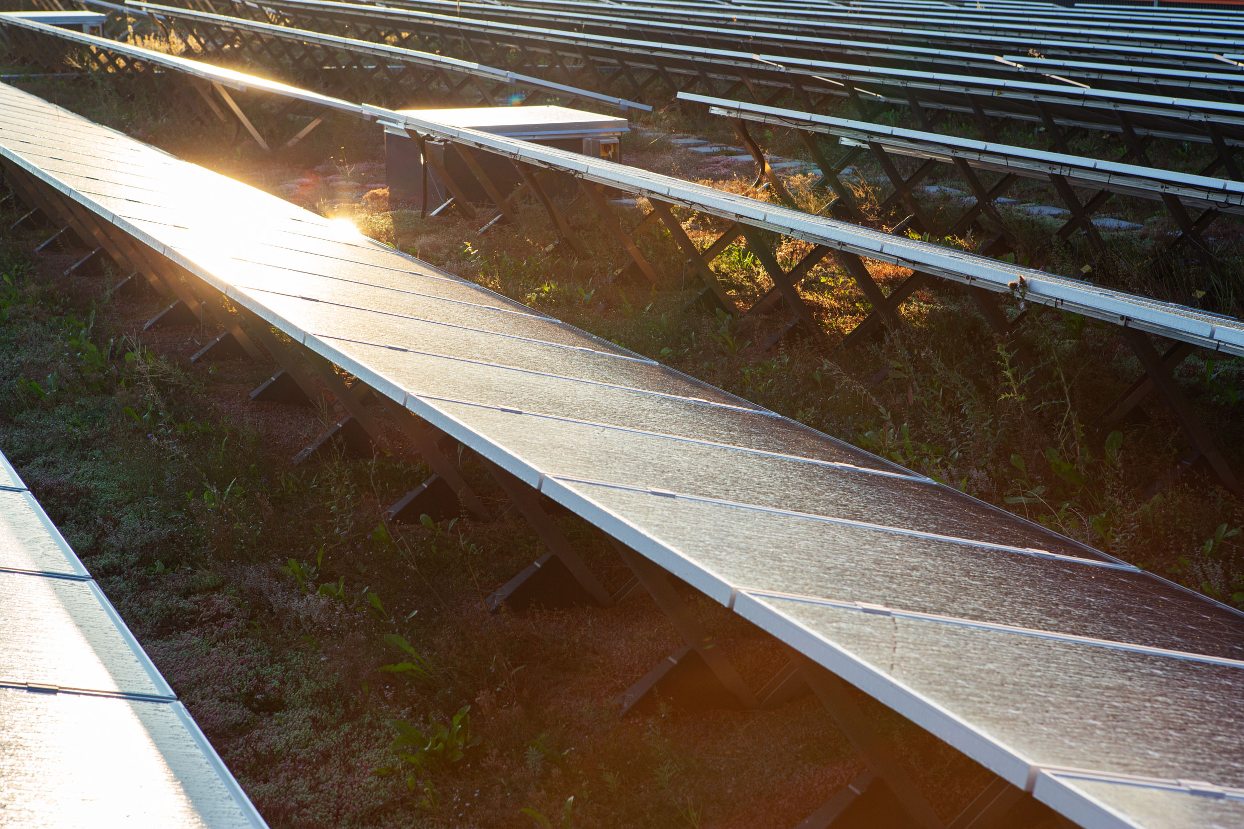 EnergieGrünDach Contec.greenlight | © Contec AG