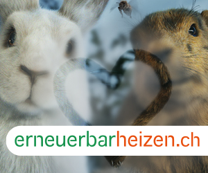 Erneuerbar Heizen | © EnergieSchweiz