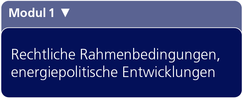 Grafik in dunkelblau | © Swissolar